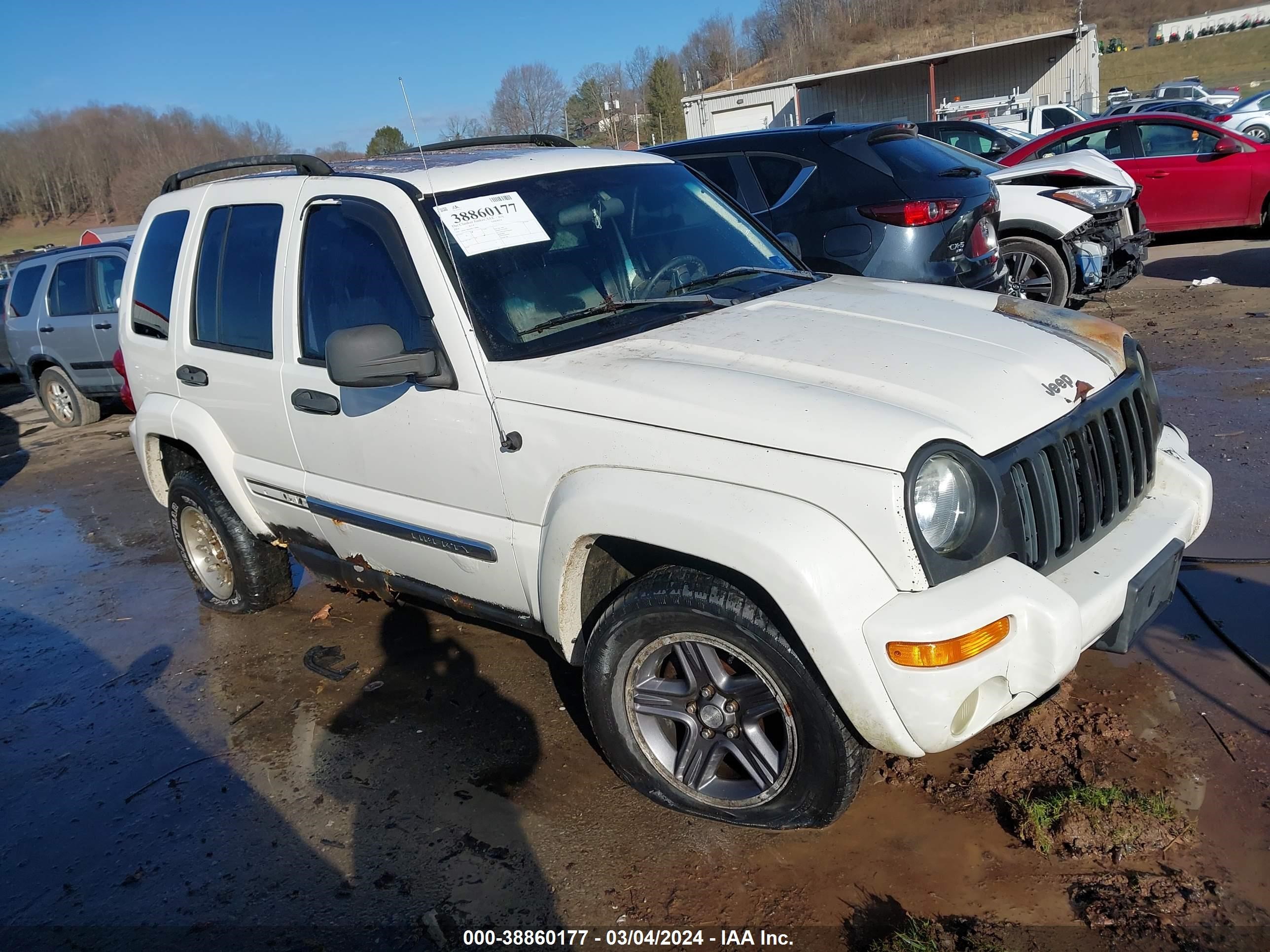 JEEP LIBERTY (NORTH AMERICA) 2004 1j4gl58k64w258884