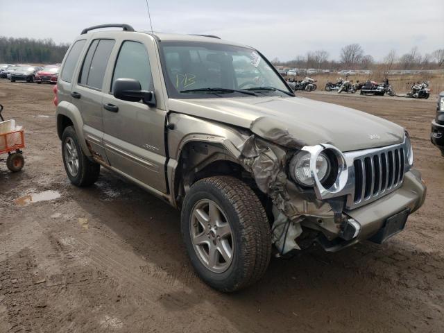 JEEP LIBERTY LI 2004 1j4gl58k64w315732