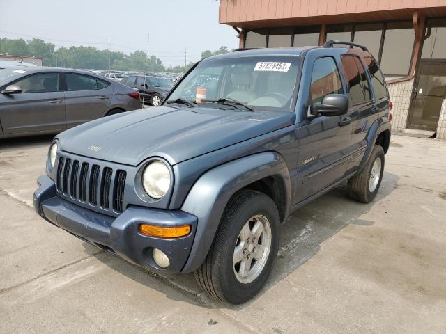 JEEP LIBERTY SP 2002 1j4gl58k72w175316