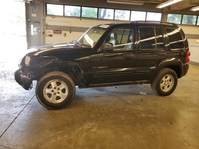 JEEP LIBERTY 2002 1j4gl58k72w212834