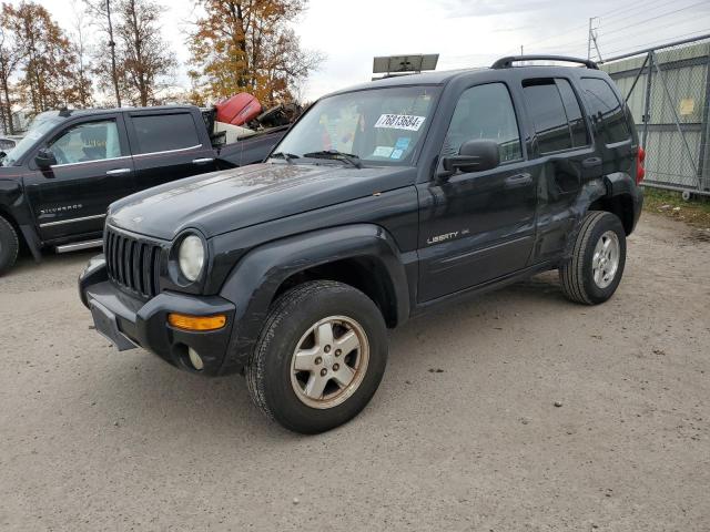 JEEP LIBERTY LI 2002 1j4gl58k72w258373