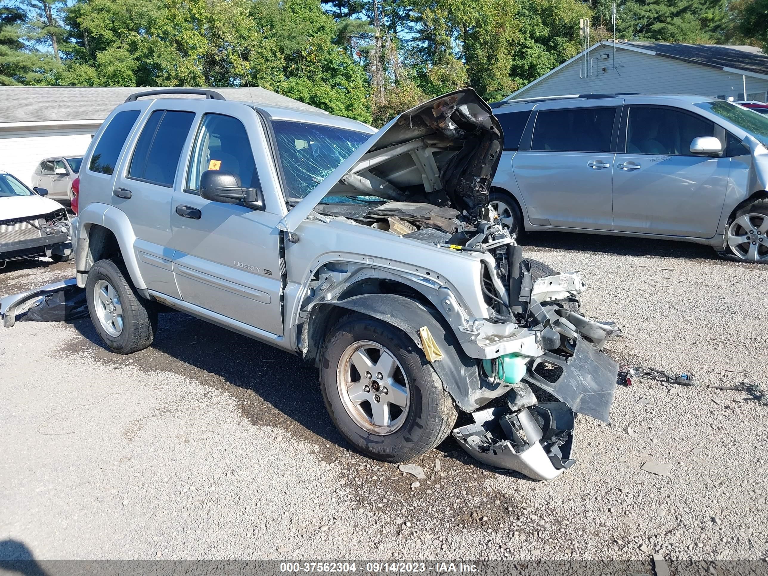 JEEP LIBERTY (NORTH AMERICA) 2002 1j4gl58k72w330608