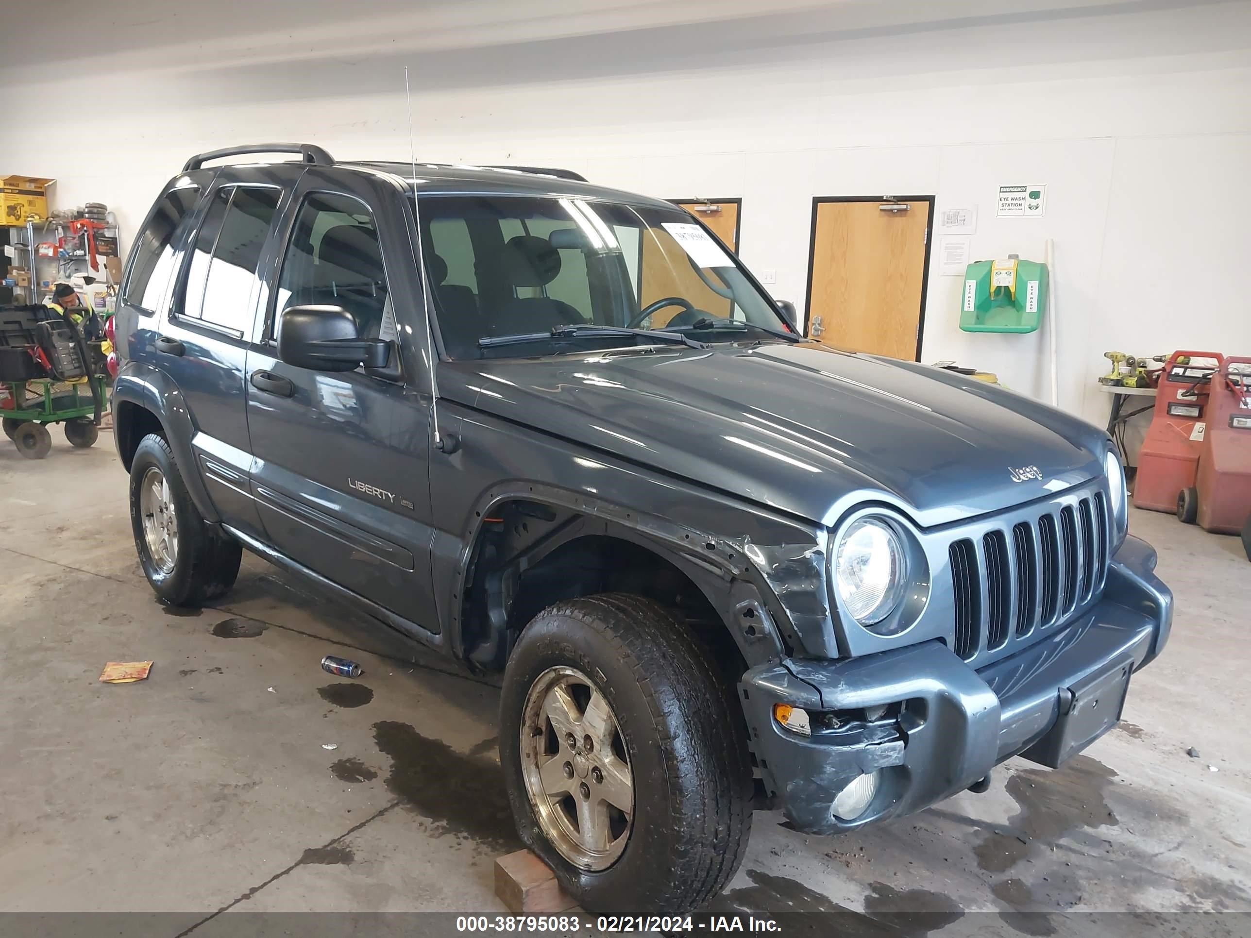 JEEP LIBERTY (NORTH AMERICA) 2002 1j4gl58k82w307905