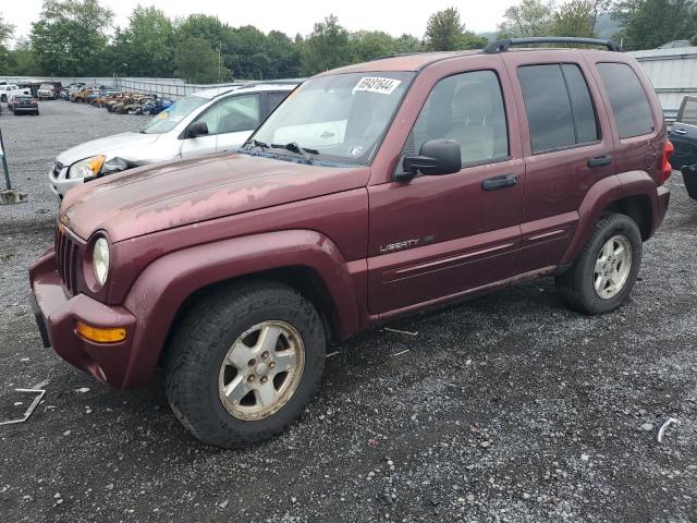 JEEP LIBERTY 2003 1j4gl58k83w501111