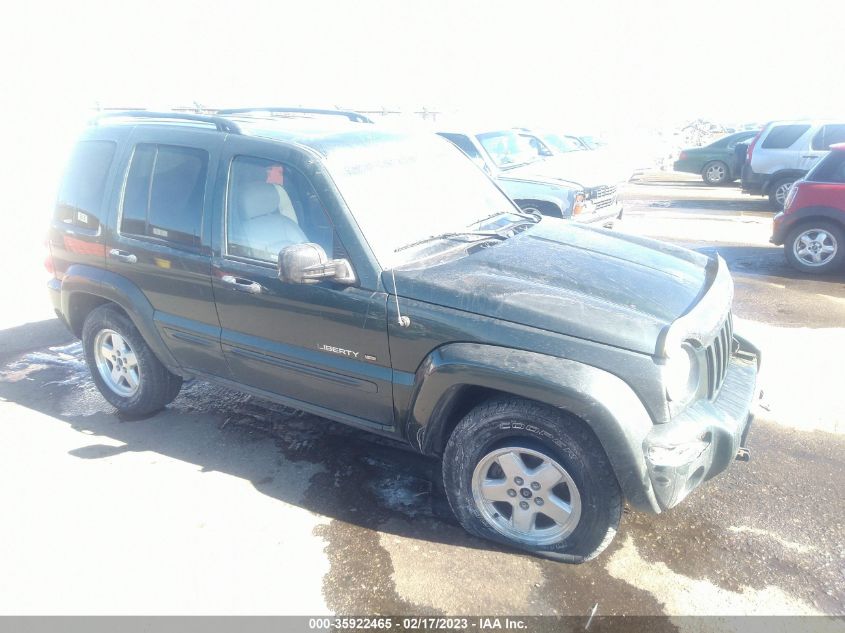 JEEP LIBERTY (NORTH AMERICA) 2003 1j4gl58k83w525439