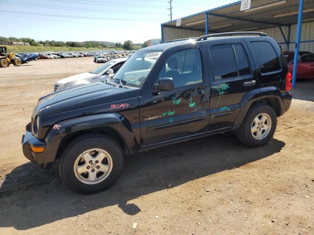 JEEP LIBERTY LI 2004 1j4gl58k84w167020