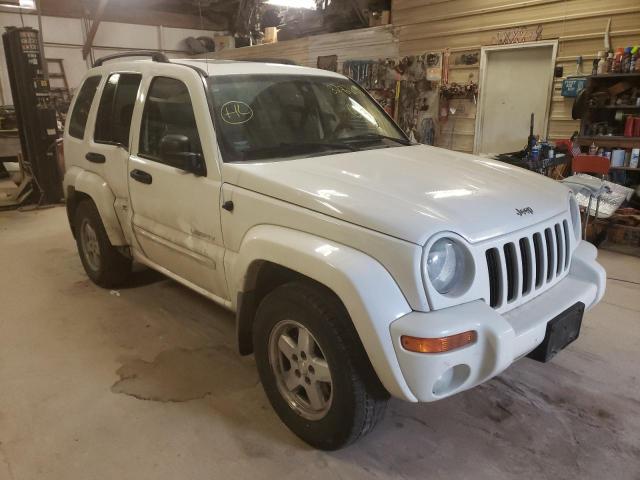 JEEP LIBERTY LI 2004 1j4gl58k84w216510