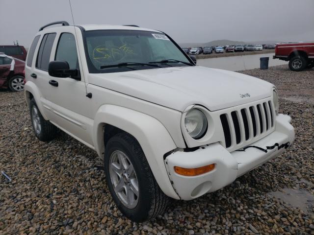 JEEP LIBERTY LI 2004 1j4gl58k84w239558