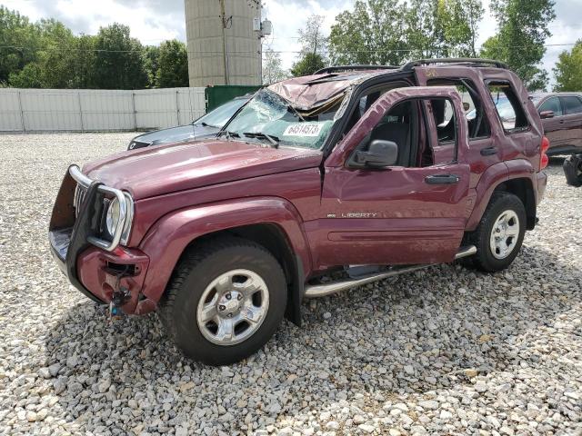 JEEP LIBERTY LI 2002 1j4gl58k92w202158