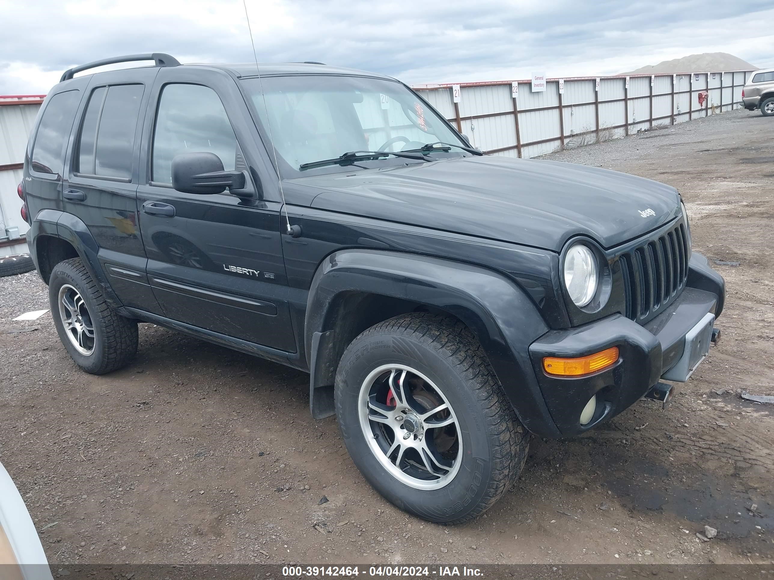 JEEP LIBERTY (NORTH AMERICA) 2002 1j4gl58k92w208624