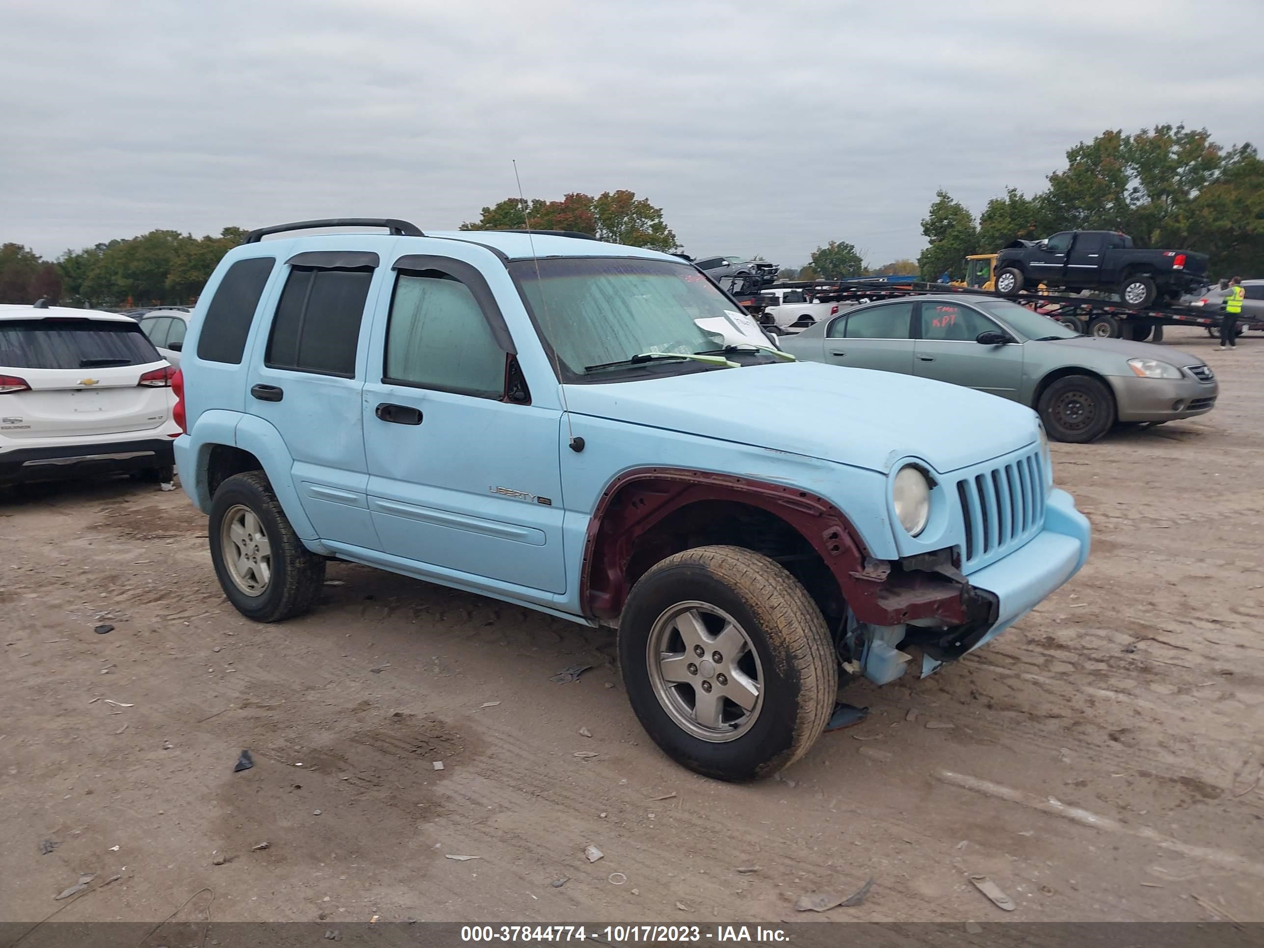 JEEP LIBERTY (NORTH AMERICA) 2002 1j4gl58k92w307816