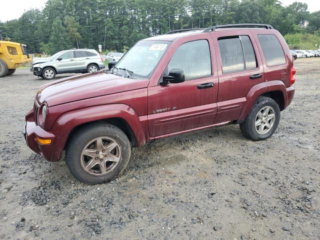 JEEP LIBERTY 2003 1j4gl58k93w708462