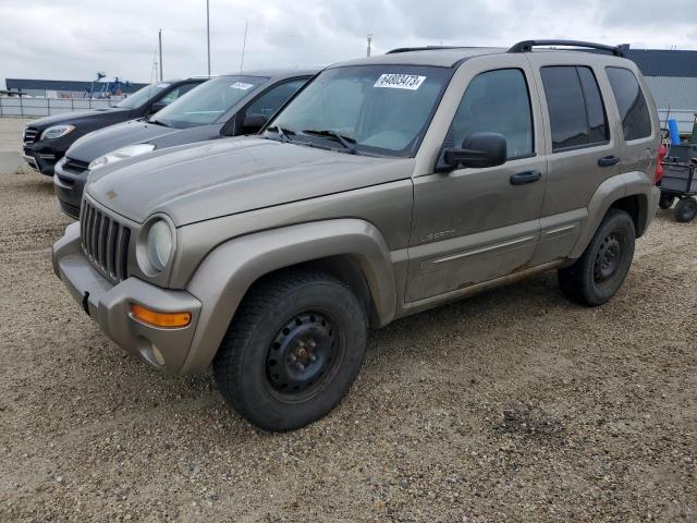 JEEP LIBERTY LI 2004 1j4gl58k94w245045