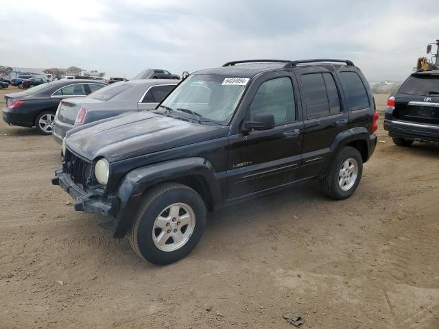 JEEP LIBERTY LI 2004 1j4gl58k94w298683