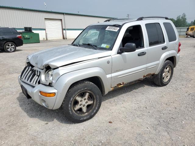 JEEP LIBERTY 2004 1j4gl58k94w323405