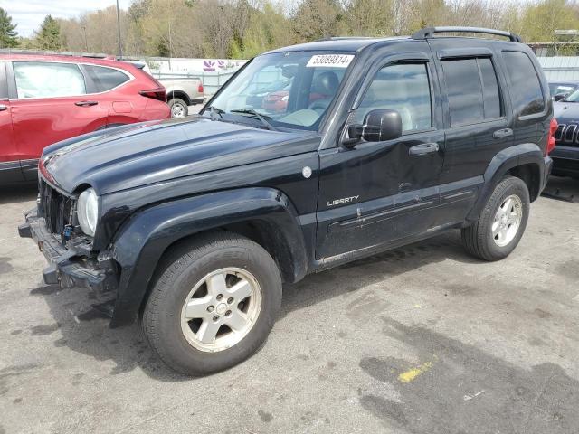 JEEP LIBERTY 2004 1j4gl58k94w324859