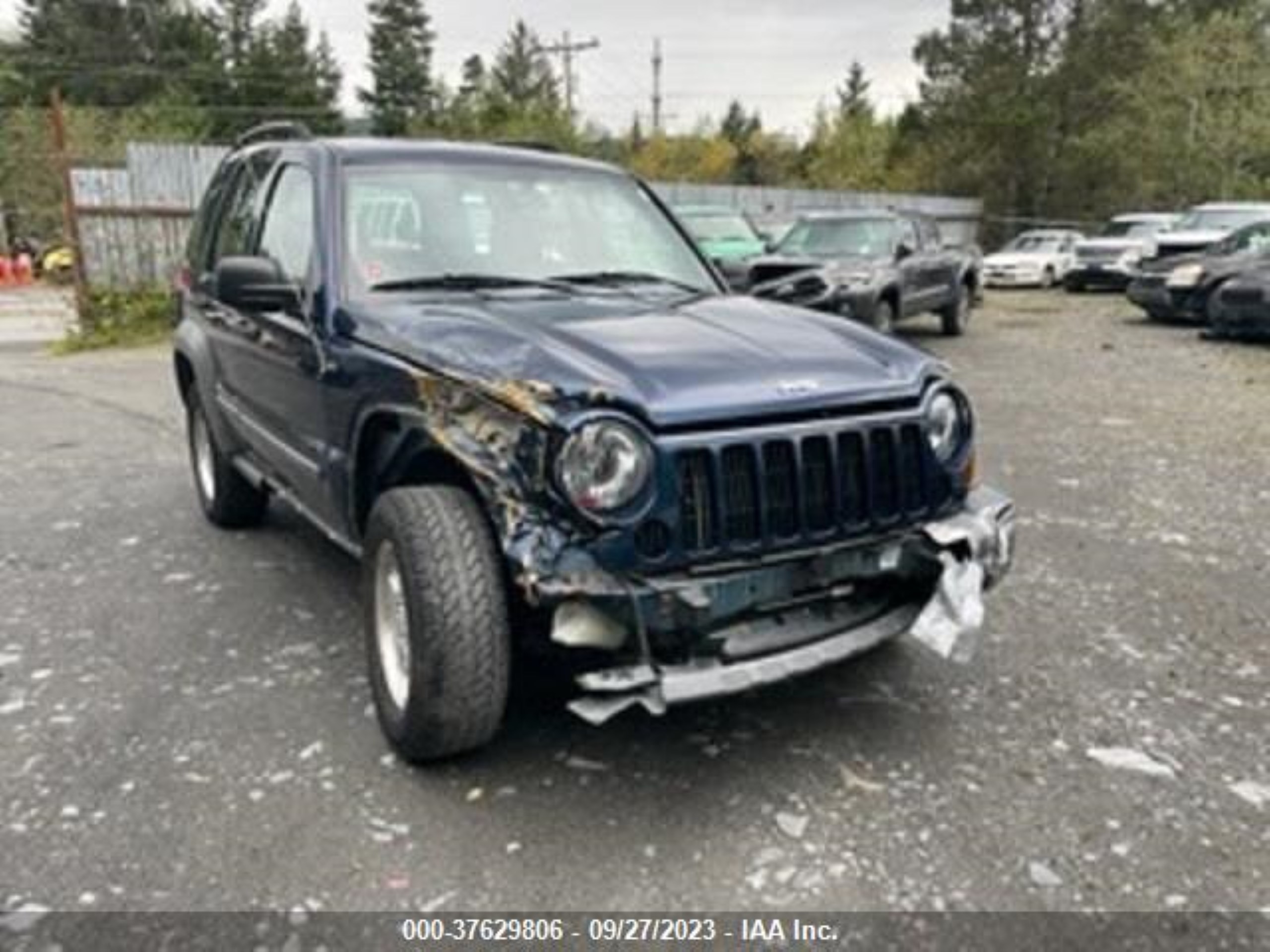 JEEP LIBERTY (NORTH AMERICA) 2005 1j4gl58k95w563829