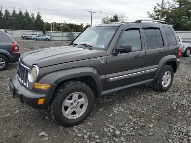 JEEP LIBERTY LI 2006 1j4gl58k96w203199