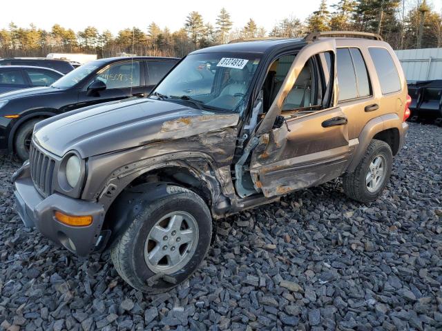 JEEP LIBERTY 2002 1j4gl58kx2w152130