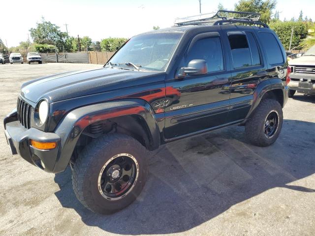 JEEP LIBERTY LI 2002 1j4gl58kx2w197875