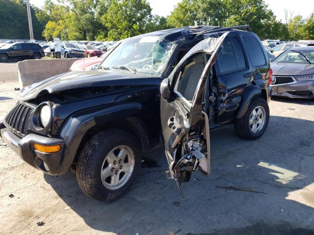 JEEP LIBERTY LI 2002 1j4gl58kx2w245875