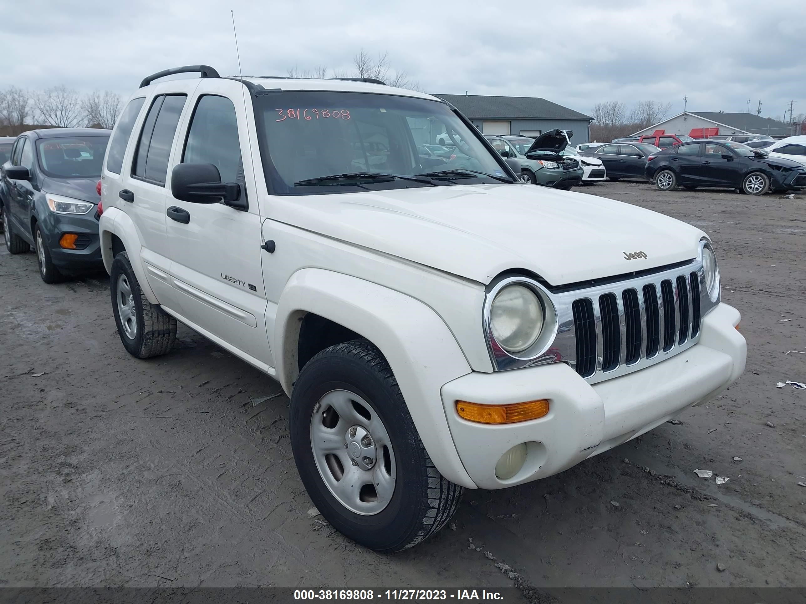 JEEP LIBERTY (NORTH AMERICA) 2002 1j4gl58kx2w250834