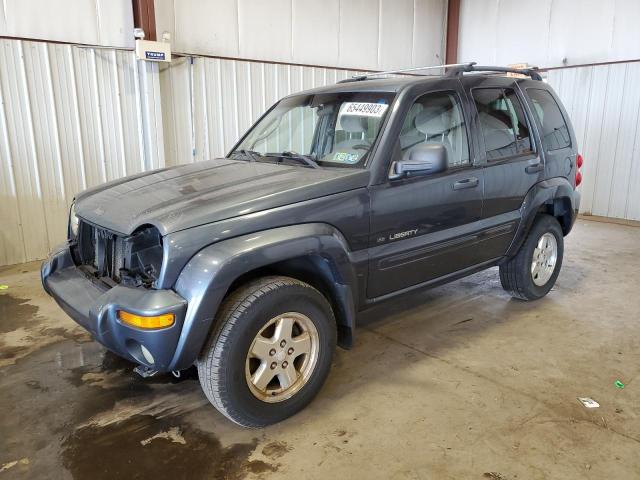 JEEP LIBERTY LI 2002 1j4gl58kx2w264345