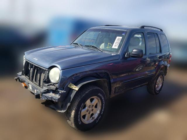 JEEP LIBERTY 2002 1j4gl58kx2w282361