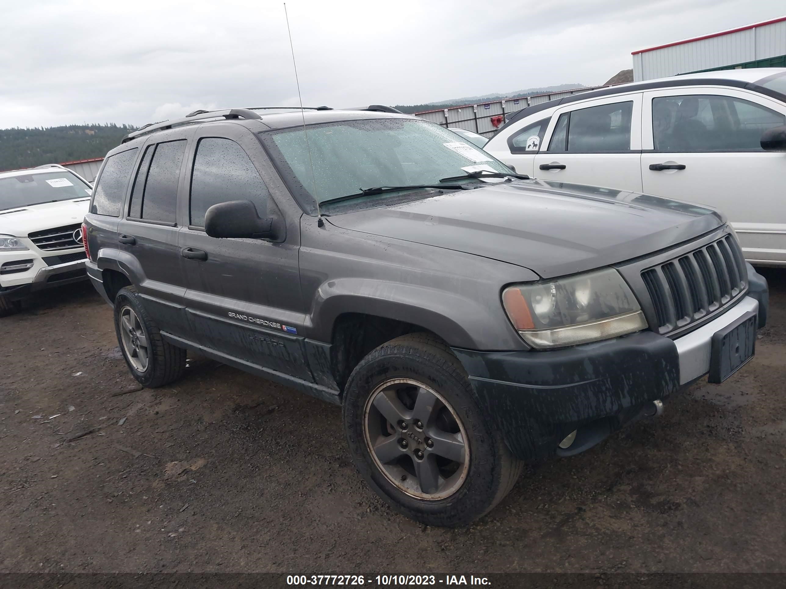 JEEP GRAND CHEROKEE 2004 1j4gw48j64c257244