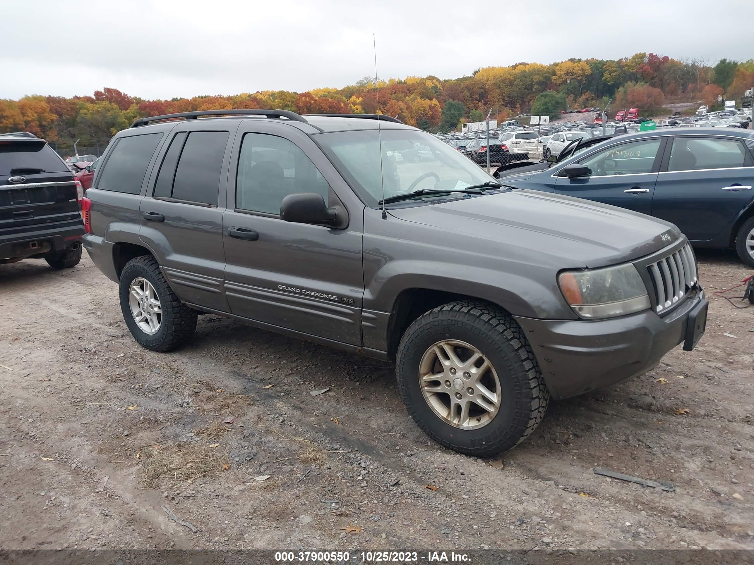 JEEP GRAND CHEROKEE 2004 1j4gw48n04c219902