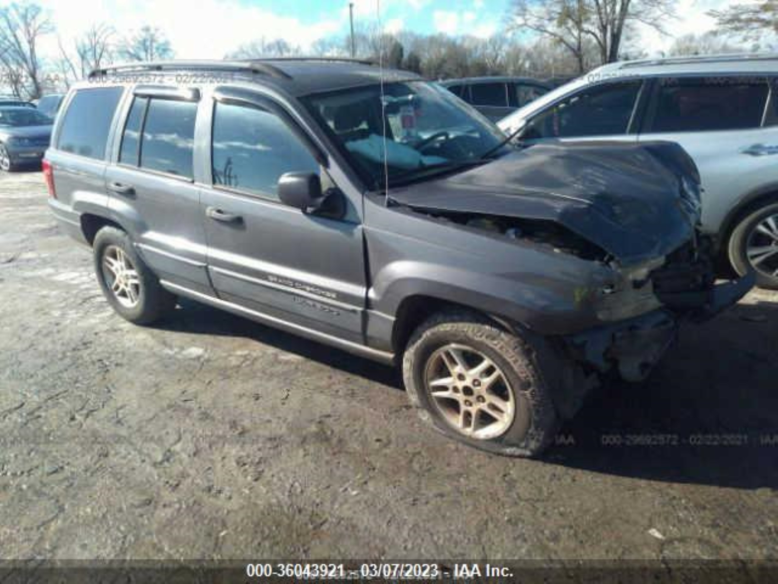 JEEP GRAND CHEROKEE 2004 1j4gw48s24c202931