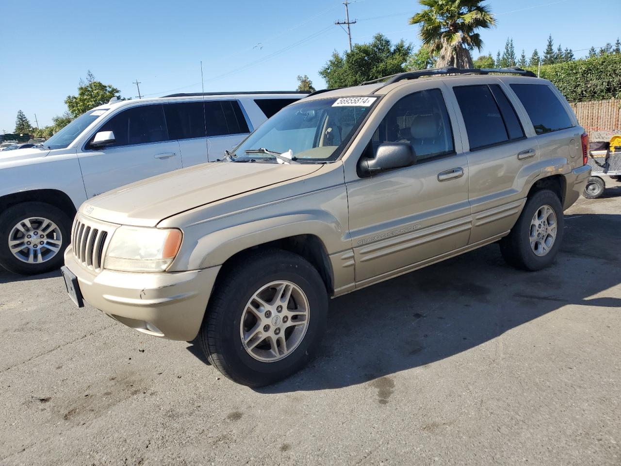 JEEP GRAND CHEROKEE 1999 1j4gw68n1xc637109