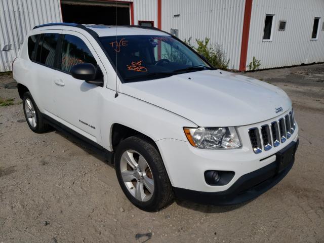 JEEP COMPASS SP 2011 1j4nf1fb0bd239458