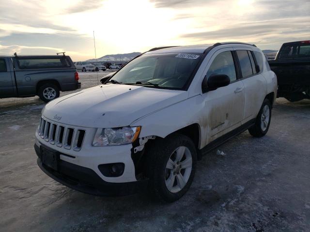 JEEP COMPASS SP 2011 1j4nf1fb1bd183160