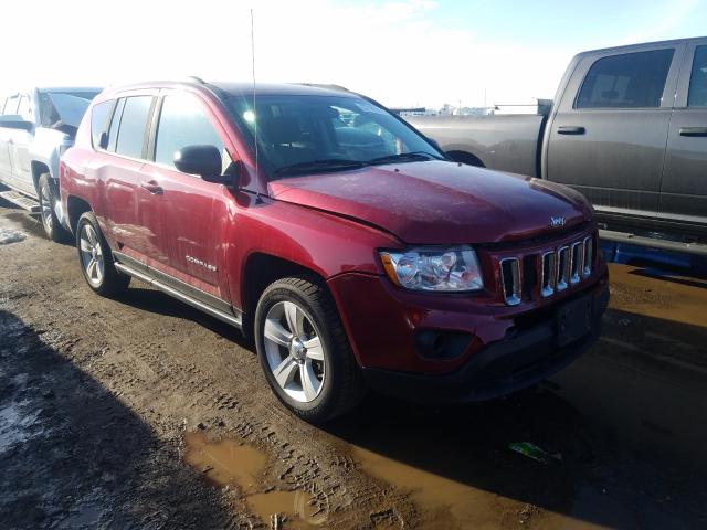 JEEP COMPASS SP 2011 1j4nf1fb1bd223303