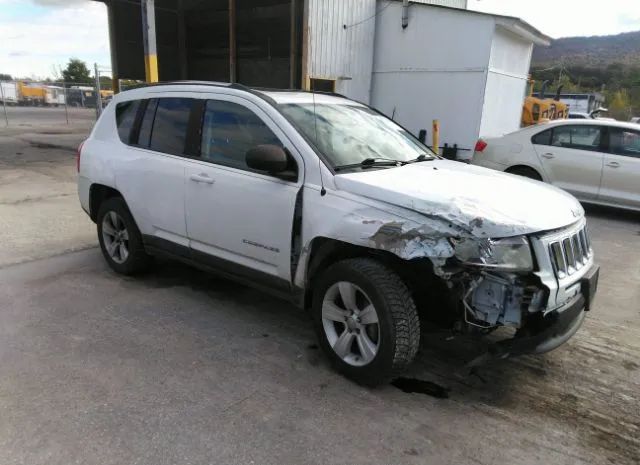 JEEP COMPASS 2011 1j4nf1fb1bd239307