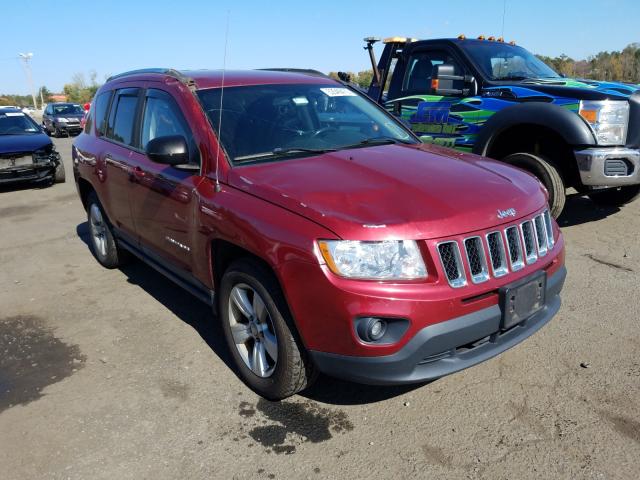 JEEP COMPASS SP 2011 1j4nf1fb2bd136316