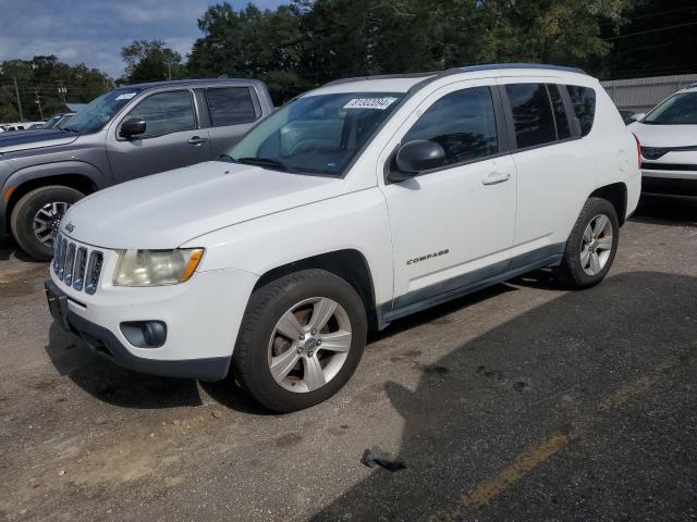 JEEP COMPASS SP 2011 1j4nf1fb3bd154405