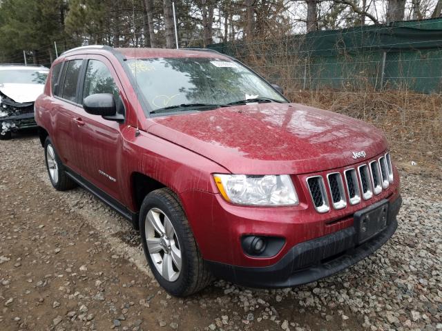 JEEP COMPASS SP 2011 1j4nf1fb3bd180082