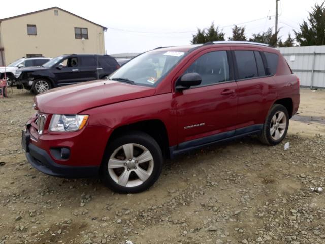 JEEP COMPASS SP 2011 1j4nf1fb3bd193768