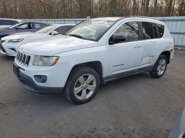 JEEP COMPASS SP 2011 1j4nf1fb3bd259509