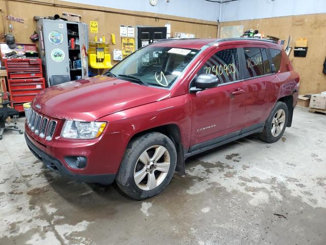 JEEP COMPASS 2011 1j4nf1fb4bd154557