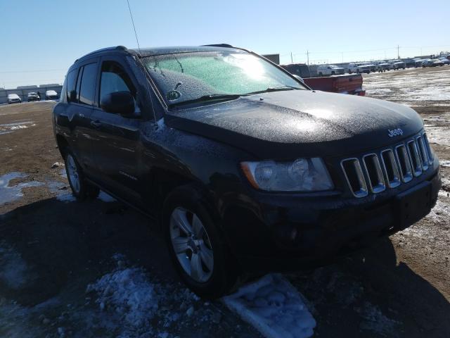 JEEP COMPASS SP 2011 1j4nf1fb4bd169818