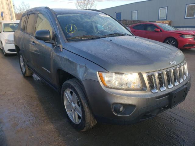 JEEP COMPASS SP 2011 1j4nf1fb4bd180592