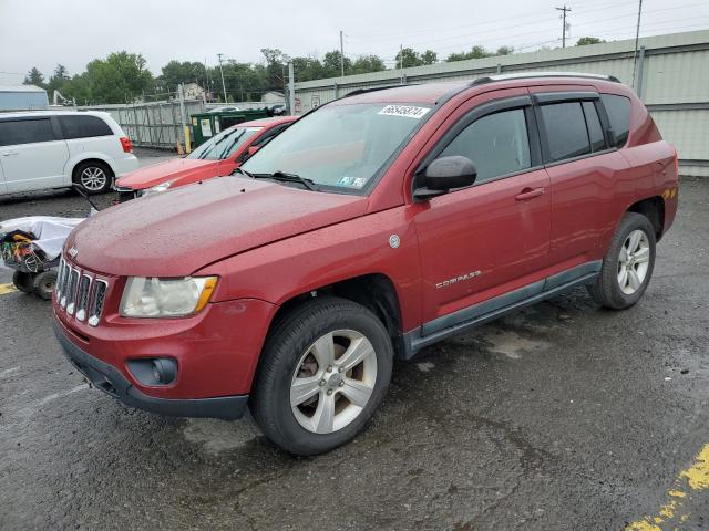 JEEP COMPASS SP 2011 1j4nf1fb4bd193987