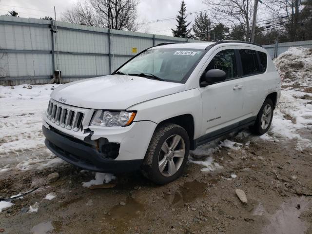 JEEP COMPASS SP 2011 1j4nf1fb4bd266534