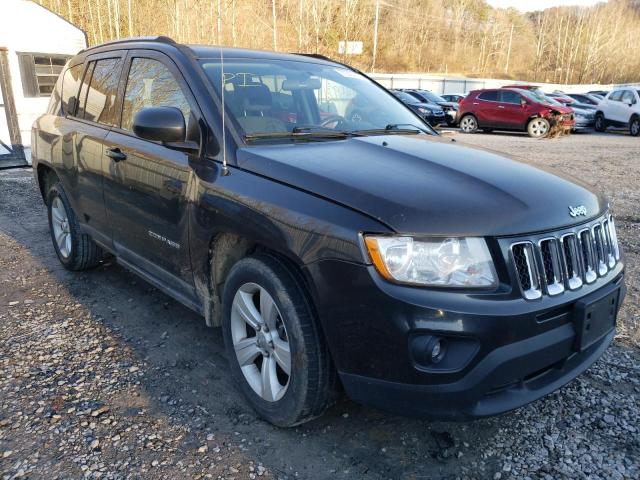 JEEP COMPASS 2011 1j4nf1fb5bd135709