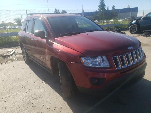 JEEP COMPASS SP 2011 1j4nf1fb5bd145463