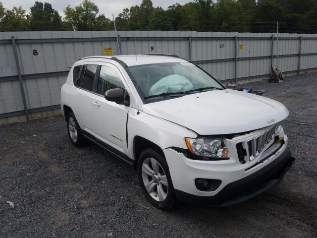 JEEP COMPASS SP 2011 1j4nf1fb5bd191553