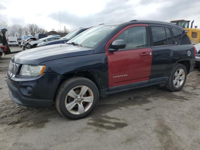 JEEP COMPASS SP 2011 1j4nf1fb5bd216659